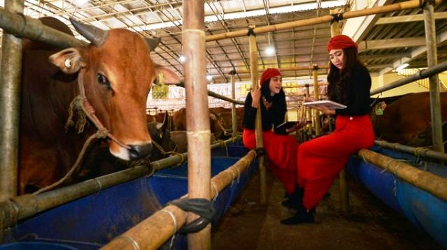 Jamin Hewan Kurban Bebas Penyakit Jamin Hewan Kurban Bebas Penyakit