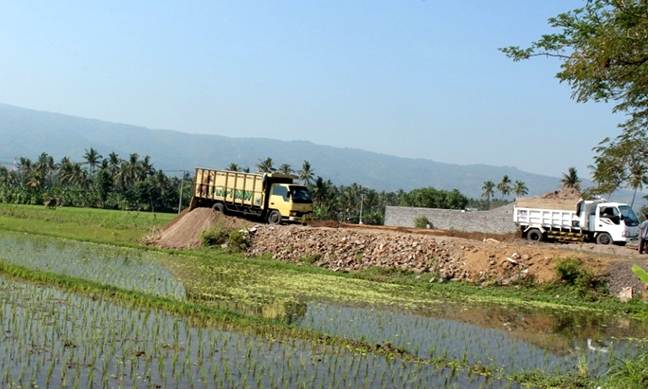 Pemkab Awasi Penyusutan Lahan Pertanian