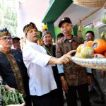 Meski Kekeringan, Ketahanan Pangan Aman