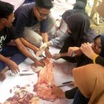 Siswa Sekolah Menengah Belajar Menyembelih Hewan Kurban Siswa Sekolah Menengah Belajar Menyembelih Hewan Kurban