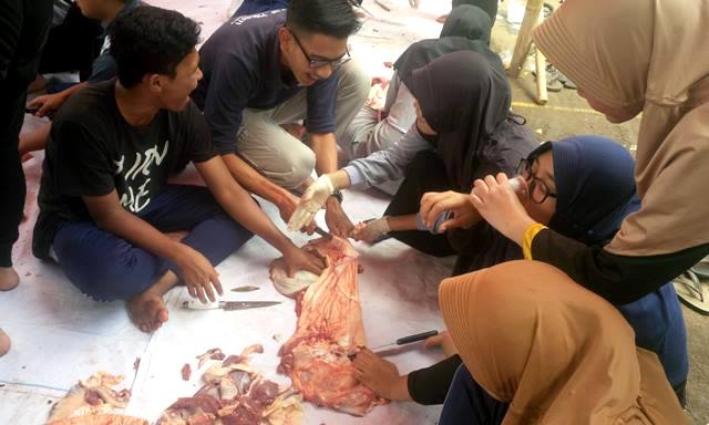 Siswa Sekolah Menengah Belajar Menyembelih Hewan Kurban Siswa Sekolah Menengah Belajar Menyembelih Hewan Kurban