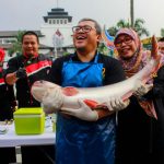 Festival Olahan Patin