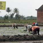 Cimahi Harus Punya Lahan Untuk Pangan