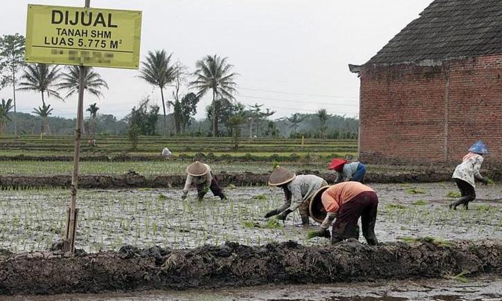 Cimahi Harus Punya Lahan Untuk Pangan