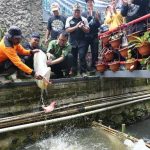 Ajak Majukan Bandung dengan Inovasi