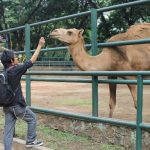 Cee4Life Bantu Benahi Bonbin