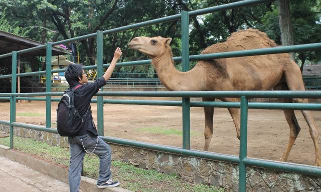 Cee4Life Bantu Benahi Bonbin