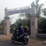 hutan kota