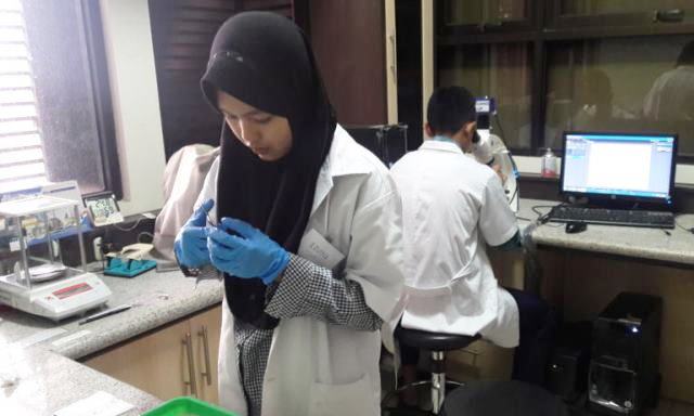 imunisasi MR - anjal