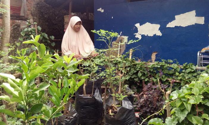 Een Ingin Wujudkan Kampung Herbal kampung herbal