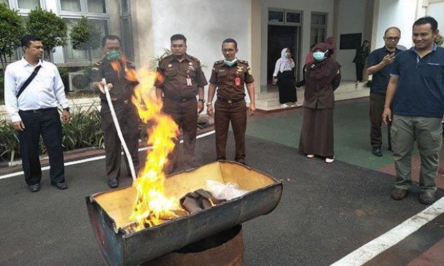 Barang Bukti Dimusnahkan, Langkah Kejari Memberantas Narkotika