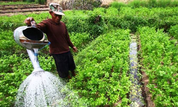 Pemkab Dorong Wirausaha bagi Petani