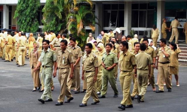 BERITA PNS