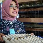 Dispangtan Kota Bandung