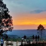 Menerawang Langit di Teras Bintang