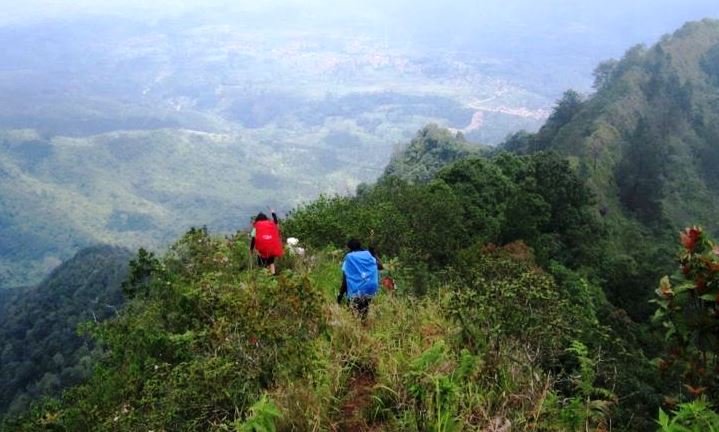 Kehutanan Sosial Tetap Jalan