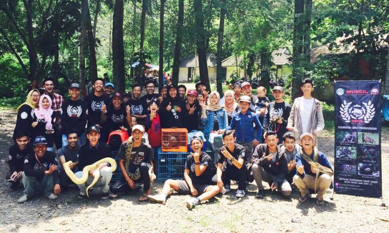 Dekat Dengan Alam untuk Pecinta Musang