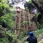 Owa Jawa Dilepas Liarkan