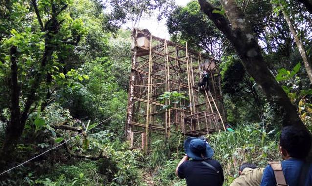 Owa Jawa Dilepas Liarkan