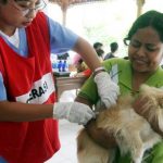 Dispangtan Sediakan 600 Vaksin Rabies