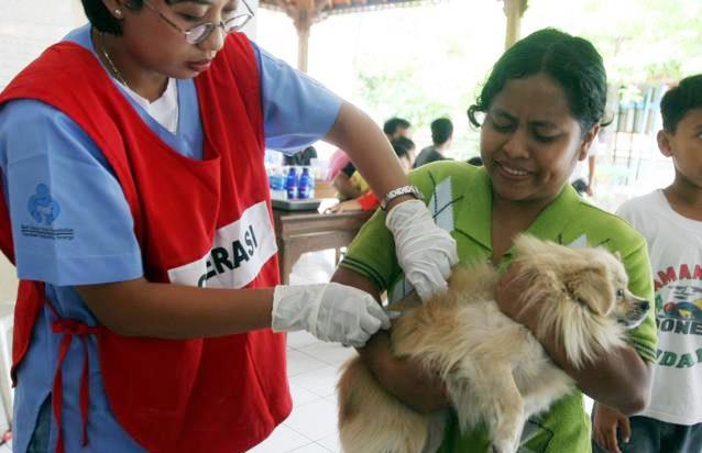 KBB Targetkan Bebas Rabies pada 2018