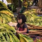 Terapkan Pembatasan Impor Tembakau