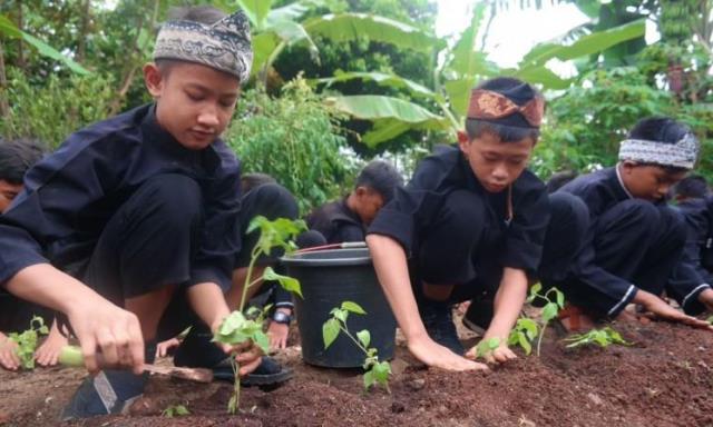 Budayakan Tanam Pohon di Masyarakat