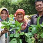 Ciptakan Kedaulatan Pangan