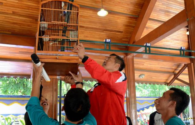 Lomba Kicau Burung Indonesia Makin Meriah