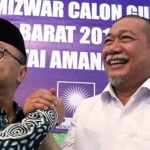 PAN Hanya Merestui Demiz