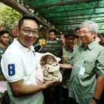 Pamit Cuti 50 Hari, Ridwan Kamil Minta SKPD Tetap Netral