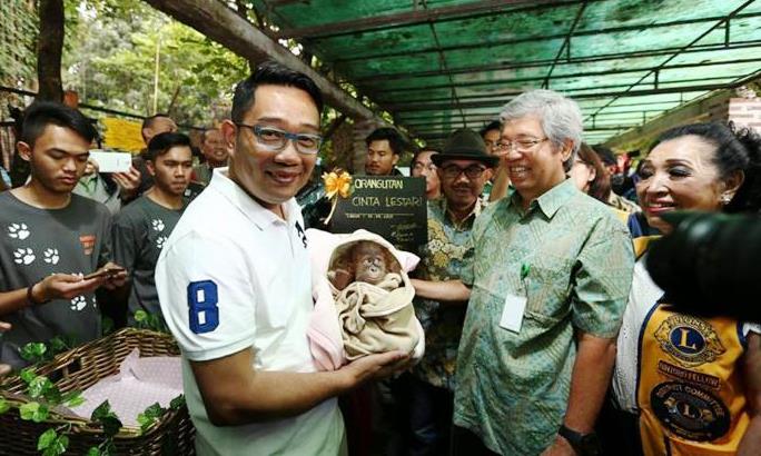 Pamit Cuti 50 Hari, Ridwan Kamil Minta SKPD Tetap Netral Pamit Cuti 50 Hari, Ridwan Kamil Minta SKPD Tetap Netral