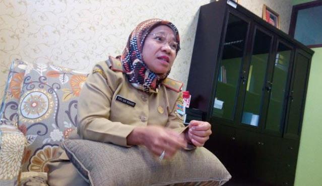 Pemkab Jamin Biaya Bayi Kembar Siam kadinkes