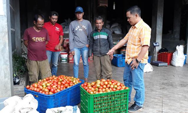 Petani Gadok Kabupaten Bandung Barat Raih Penghargaan FAO Petani Gadok Kabupaten Bandung Barat Raih Penghargaan FAO