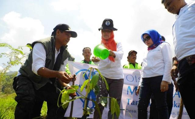 Pocari Sweat Tanam 3 ribu Pohon Endemik