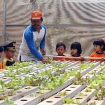 Kenalkan Urban Farming ke Anak