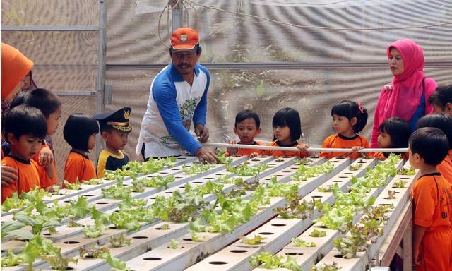 Kenalkan Urban Farming ke Anak