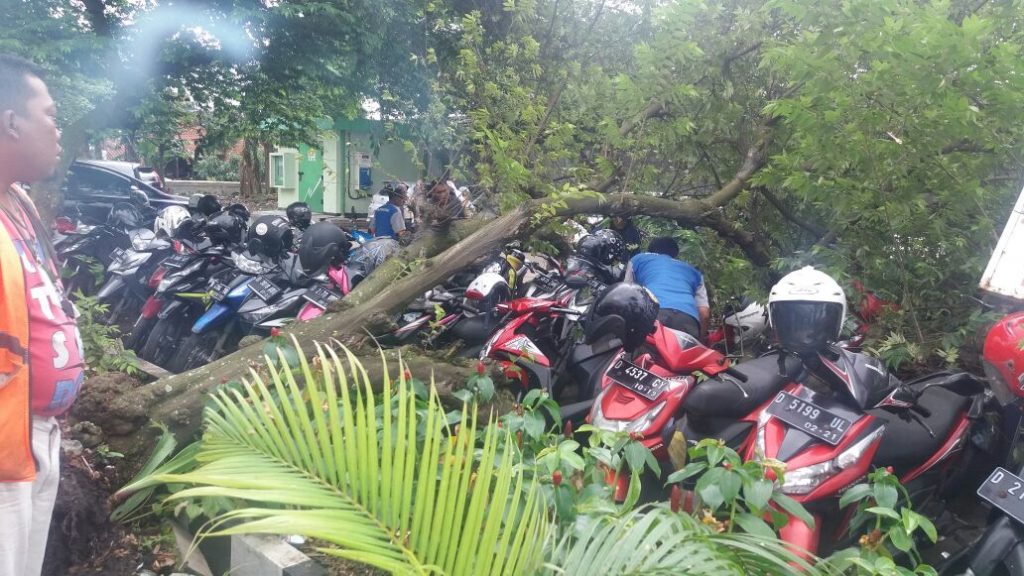 Braaak, Pohon Tumbang Timpa Motor di Halaman Parkir RS Dustira