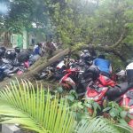 [FOTO] Begini Penampakan Saat Pohon Tumbang di Halaman Parkir RS Dustira