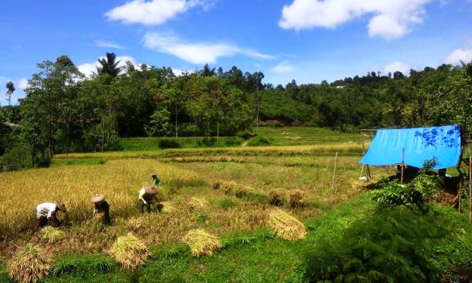 Perlu Komitmen Wujudkan Seribu Kampung