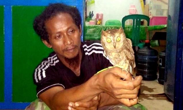 Penantian Ratusan Tahun Kemunculan Burung Simbol Minahasa