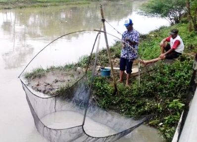 Cari Rezeki dari Datangnya Banjir