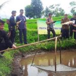 Program Mina Padi Akan Dikembangkan