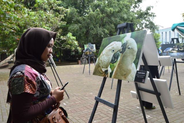Wisata Edukasi di Kebun Binatang Bandung Wisata Edukasi di Kebun Binatang Bandung