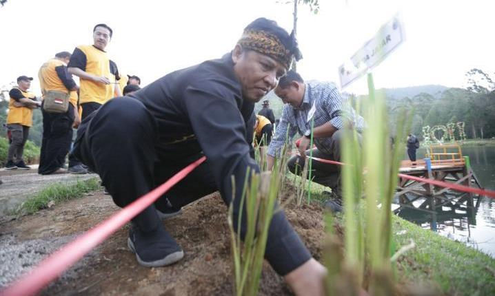 Leuweung Sabilulungan, Bisa Atasi Lahan Kritis
