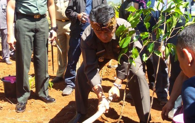 Pohon Kudu Jadi Tanamanan Kesayangan