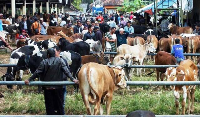 Pasar Hewan Ditargetkan Dibangun 2018