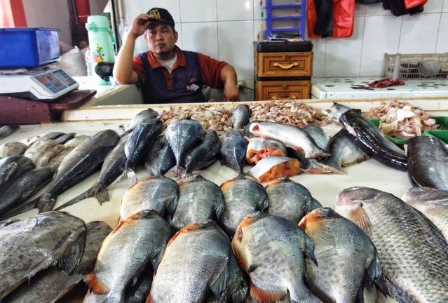Harga Ikan Laut Mulai Merangkak Naik
