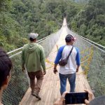 Pilihan Hidup-Mati saat Tersengat Lebah di Ketinggian 80 Meter