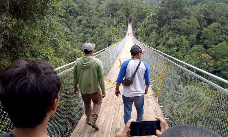 Pilihan Hidup-Mati saat Tersengat Lebah di Ketinggian 80 Meter